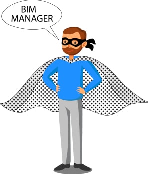 BIM Manager skills