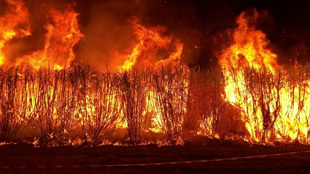 Incendi in Australia